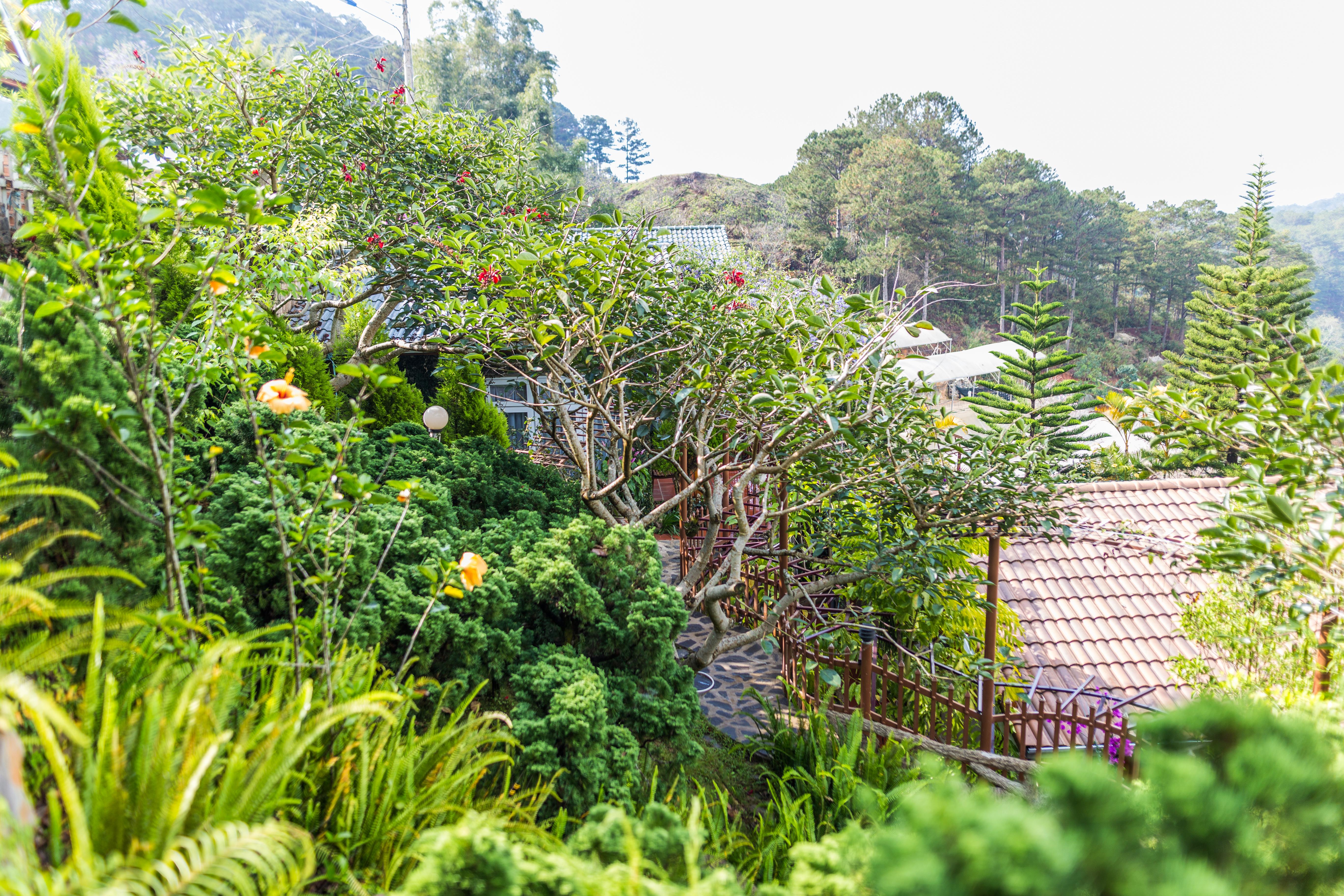 Zen Valley Dalat Bagian luar foto