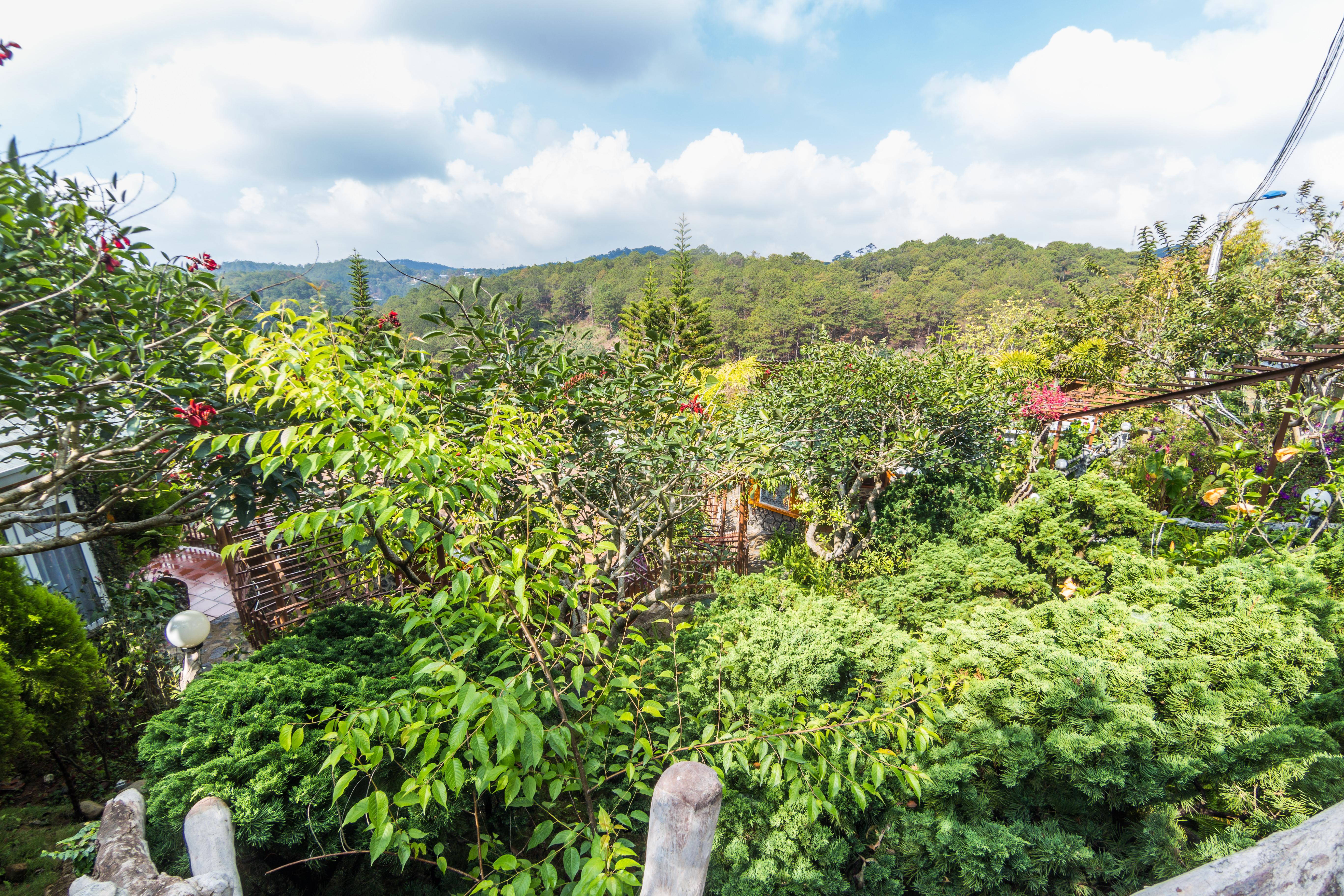 Zen Valley Dalat Bagian luar foto
